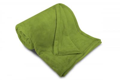 Náhled Deka mikroflanel SLEEP WELL® - 150x200cm - KIWI