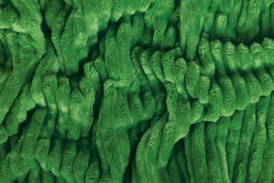 Metráž mikroplyš MANŽESTR, smaragdově zelená, šíře 150 cm